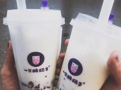 -一只酸奶牛(八一路店)