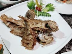 -领航美食音乐餐吧