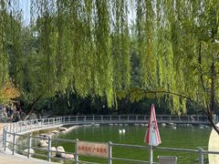 -莲湖公园