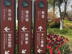 -杭州湾海上花田景区