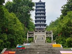 -宜兴龙背山森林公园