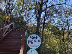 -大岭沟猕猴桃谷风景区