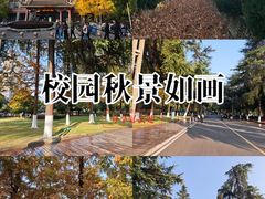 -四川大学(华西校区)