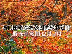 -广州市石门国家森林公园