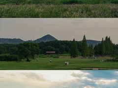 -良渚古城遗址公园