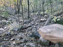 -阳台山自然风景区