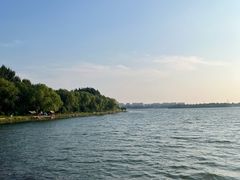 -丁香湖公园