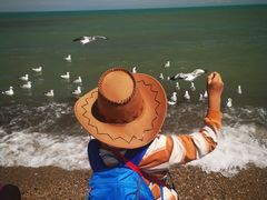 -青海湖国家重点风景名胜区