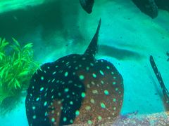 -沈阳海洋探索中心