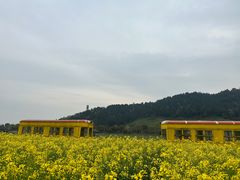 -径山花海