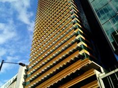 -黄金海岸