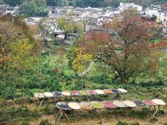 -塔川景区