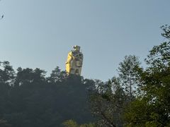 -南山植物园