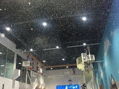 -Mr·Kuma酷么先生雪之乐园