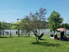 -风云岭森林公园