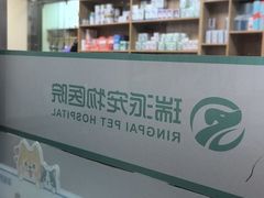 -瑞派宠物医院·24h·骨外科·皮肤科·全科宠物医疗转诊中心(沈阳浑南院)