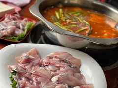 酸萝卜鱼火锅-大理.老字号渝记酸萝卜乌鱼(古城总店)