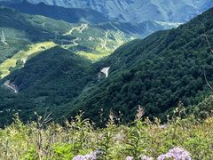 -白草畔自然风景区
