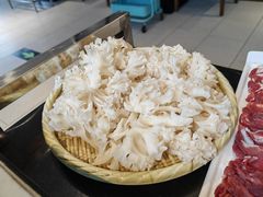 绣球菌-宝弟羊肉馆(众意路店)