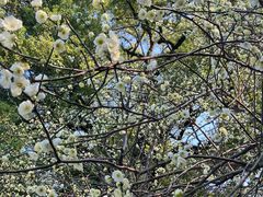 -萨莉亚意式餐厅(杭州西溪龙湖天街店)