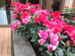 -黔蘑菇四季餐厅(观山湖店)