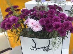 -YESIDO BLACK椰岛造型