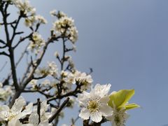 -嘉北郊野公园