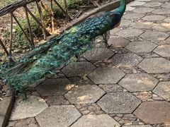 -昆明动物园