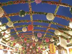 -婺源梦里老家大型山水实景演出