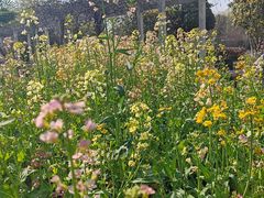 -南京中医药大学(仙林校区)