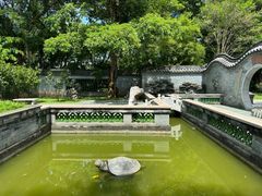 -深圳国际园林花卉博览园