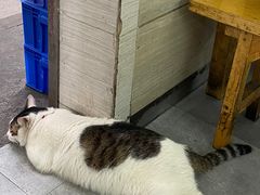 -威邵鸡煲(西华路总店)