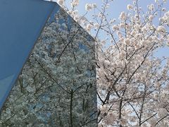-龙美术馆(西岸馆)