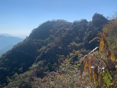 -大岭沟猕猴桃谷风景区