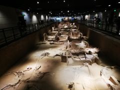 -洛阳周王城天子驾六博物馆