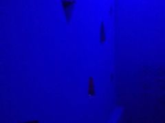 -MOJO密室逃脱(中街旗舰店)