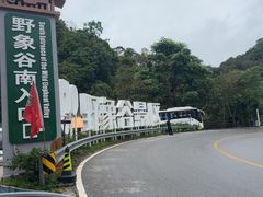 -野象谷景区