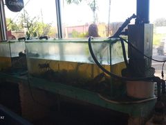 -灯笼馆海鲜餐厅