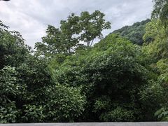 -素描餐厅(灵隐天竺店)