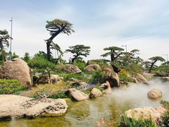 -罗红摄影艺术馆