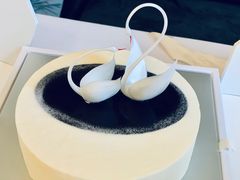 爱心天鹅-BLACKSWAN黑天鹅(环球店)