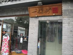 -一棵树(雨儿胡同)