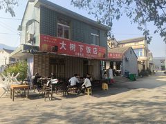 -大树下饭店(春晓镇慈岙社区卫生服务站南)