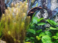 -上海海洋水族馆