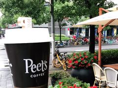 -Peet's Coffee皮爷咖啡(大学路店)