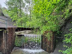 -峡谷浮石林景区