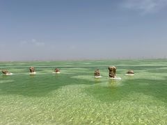 -察尔汗盐湖