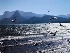 -滇池海埂公园