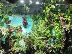 -太平洋海底世界