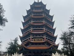 -铁山坪森林公园